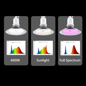 Luci LED per Coltivazione a Spettro Completo 18W per Frutta <span class=keywords><strong>del</strong></span> <span class=keywords><strong>Drago</strong></span>, Fragole, Verdure, Lampadina LED per Serra con Corpo in Alluminio e PVC per Fioritura - Product Image 4
