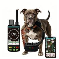 Système de suivi GPS pour collier de chien : Cartographie portable + Alerte de sortie de zone et analyse de la durée de présence