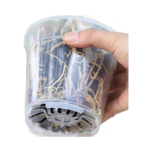 Gran oferta, maceta de plástico transparente para flores, <span class=keywords><strong>macetas</strong></span> para jardín, vivero, maceta de plástico transparente - Product Image 5