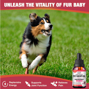 कुत्तों के लिए भांग का तेल तेजी से अवशोषण विटामिन और खनिज आराम के लिए चिंता हिप/संयुक्त दर्द राहत और बेहतर नींद (2 पैक) - Product Image 3