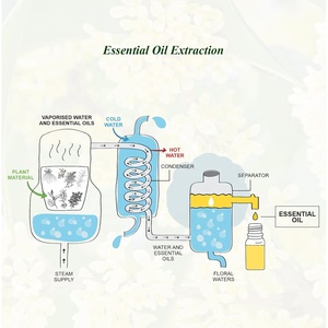 Trung Quốc sức mạnh nhà máy 100% tinh khiết tự nhiên Osmanthus tinh dầu tùy biến Nhãn 100ml Osmanthus dầu cho da và tóc - Product Image 2