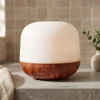 Diffuseur d'huiles essentielles de 250 ml avec lumière LED, diffuseur d'aromathérapie à ultrasons pour la maison, le bureau et l'hôtel
