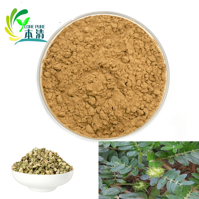 Best Price Large Supply High Quality Core Pure Herbal Extract Tribulus Terrestris Fruit Extract Powder 40%-90% Saponins 25kg