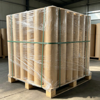 Rouleau de papier kraft jetable pour couveuse, coussinets en papier pour l'élevage de poulets et volailles en ferme