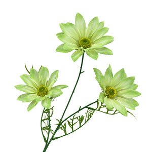 Flores artificiales de crisantemo de verano de tacto Real hechas a mano de alta calidad decoraciones de boda realistas para el Día de la madre - Product Image 1