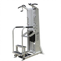 Machine de traction assistée et de dips avec pile de poids en acier pour salle de sport commerciale - Exercice pour le dos et les bras