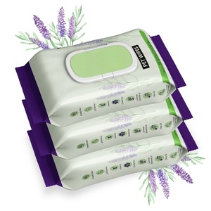 Toallitas Húmedas Frías Orgánicas No Tejidas para Enfriar y Limpiar la Piel, Imprescindibles para el Verano - Product Image 1
