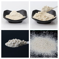 Amulyn 120 UI/g Transglutaminase TG Enzyme - Réticulateur protéique de qualité alimentaire pour colle à viande, tofu, saucisses, yaourt - Durée de conservation de 24 mois