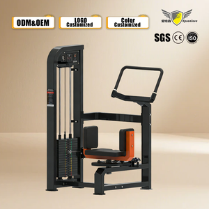 YLSY001HM18 YLSY001HM18 Vente en gros d'usine Appareil de fitness en acier pour abdominaux à genoux et rotation du tronc, avec système de charge par broches, capacité de charge 175 kg - Product Image 1