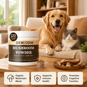 Mezcla de Hongos Orgánicos Patentada OEM para Perros y Gatos, Apoyo Inmunológico, Salud Cognitiva, Suplemento en Polvo de Rápida Absorción - Product Image 4