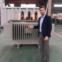 Transformateur de puissance toroïdal immergé dans l'huile triphasé 11 kV, S11 200 kVA 400 kVA 630 kVA, à bobine toroïdale, abaisseur de tension 11 kV