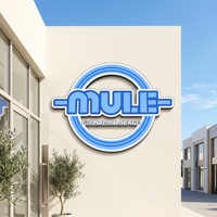 Enseigne LED personnalisée Zhilin pour logo d'entreprise, enseigne en lettres acryliques 3D personnalisées, enseigne lumineuse en acrylique, logo pour salon de beauté