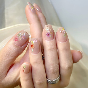 Venta <span class=keywords><strong>al</strong></span> <span class=keywords><strong>por</strong></span> <span class=keywords><strong>mayor</strong></span> a granel Mini Nail Art <span class=keywords><strong>Flores</strong></span> <span class=keywords><strong>secas</strong></span>, plantas coloridas <span class=keywords><strong>flores</strong></span> prensadas naturales, usable Nail Art <span class=keywords><strong>Flores</strong></span> reales Diy Nail - Product Image 5