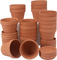 Lot de 10 mini pots en terre cuite non vernis, pots en argile, pots en céramique pour plantes succulentes, mini pots pour cactus, pour la maison, le salon, la chambre d'hôtel, intérieur
