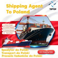 Agente de envío marítimo Polonia Szczecin Puerto de Gdynia Fedex Agente de cotización de carga Envío de la puerta de envío directo
