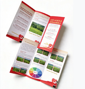 Brochure personnalisée à 3 volets, catalogue à prix abordable, <span class=keywords><strong>d</strong></span>épliant pour petites entreprises, impression sur carton pour prospectus - Product Image 6