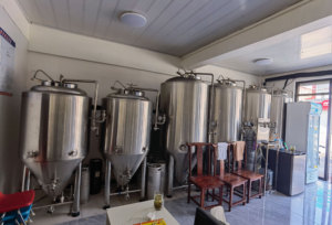 Fermentador Restaurante Elaboración <span class=keywords><strong>de</strong></span> <span class=keywords><strong>cerveza</strong></span> 300 litros Equipo Restaurantes Fabricación <span class=keywords><strong>de</strong></span> <span class=keywords><strong>cerveza</strong></span> <span class=keywords><strong>artesanal</strong></span> a la <span class=keywords><strong>venta</strong></span> - Product Image 2