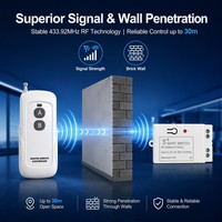 Interruptor de Control Remoto Inalámbrico Inteligente de 220V con Protección IP65, Alcance de 30-100m, 10A