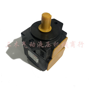 Pompe à palettes variables PV2R1 6 8 10 12 14 17 19 23 25 31 F R, pompe à huile 350 bars, pompe hydraulique en fonte - Product Image 1