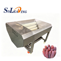 Multifunctionele Palm Dadel Borstel Polijst Reinigingsmachine Automatische Industriële Dadel Jujube Droge Polijst Reinigingsmachine