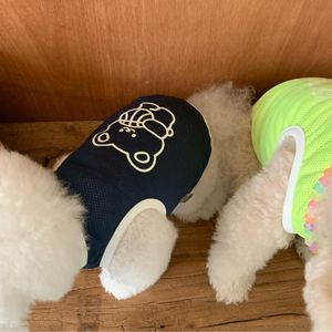 Ropa de malla transpirable repelente a insectos para mascotas (perros pequeños como Teddy, Pomeranian, Bichón Frisé) para primavera/verano, estilo baloncesto - Product Image 2