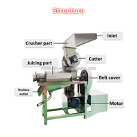 Machine à purée de mangue à prix réduit, extracteur de jus de mangue, machine à pulpe de fruits, machine à extraire la pulpe de fruits