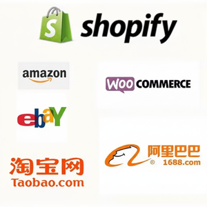 Marque blanche Dropshipping Agent Service Logo personnalisé et emballage Support de construction de marque - Product Image 1