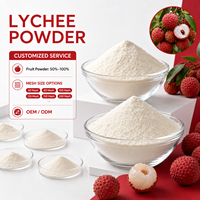 Longbio Vente en gros de poudre de jus de litchi de haute qualité, poudre de litchi solide