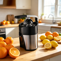 Mini Blender Draagbare Koude Pers Fruitpers Machine Handmatige Sinaasappelpers Handpers Fruitpers Extractor Machine