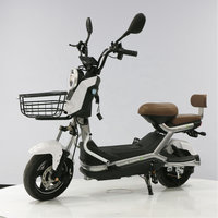 Bicicleta Eléctrica de Alta Velocidad de 800W con Motor sin Escobillas y Batería de Litio