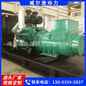 Groupe électrogène diesel Weifang 700 kW, haute puissance d'urgence pour hôpitaux et usines, alimentation de secours - Product Image 5