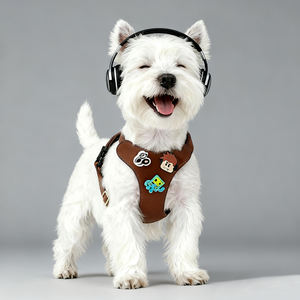 カスタマイズされたエレガントで豪華なソフトレザーDLY犬用ハーネスPVCかわいいバックルとリーシュセット高級ペットチェストアクセサリー - Product Image 6