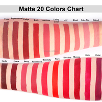 Marque privée personnalisée sans logo 24 heures super séjour 20 couleurs rouge à lèvres mat doux crème liquide imperméable à l'eau