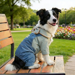Salopette élégante de style britannique avec col à nœud et bretelles pour petits chiens et chats - Product Image 2