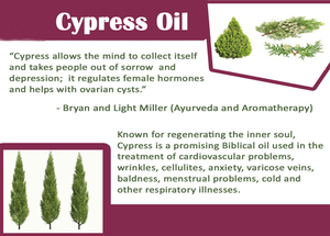 Olio Essenziale di Cipresso 100% Puro e Naturale |   Cipresso sempervirente distillato a vapore | per il rassodamento della pelle, deodorante per ambienti con aromaterapia - Product Image 6