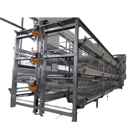 Cage automatique en batterie pour poules pondeuses de type A ferme avicole pour le Nigeria Kenya Guinée