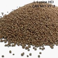 Lysine en poudre de qualité alimentaire, fortifiant nutritionnel, L-lysine, fourni par l'usine