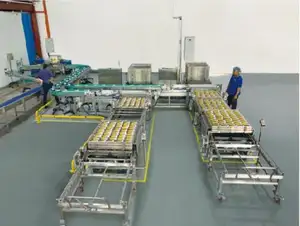 Автоматическая линия для разгрузки продуктов питания из рыбных консервов