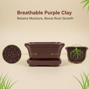 Juego de Macetas de Cerámica Modernas Vintage para Bonsái, Pequeñas, con Acabado Azul, Duraderas, Biodegradables, para Uso en Interiores y Exteriores - Product Image 5