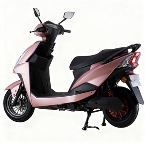 Motocicletta Elettrica 1000W, Ruote da 10 Pollici, E-Scooter ad Alta Velocità 45km/h per Pendolari, Modello Certificato EEC di Grande Successo Prodotto in Cina - Product Image 3