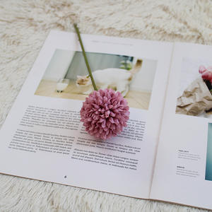 Fiore Artificiale Semimanuale Semimeccanico all'Ingrosso: Crisantemo a Sfera Fresco e Semplice, Simulazione Dente di Leone Singolo in Seta PGY-215 - Product Image 6