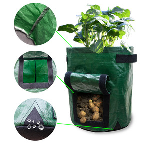 Sacs <span class=keywords><strong>de</strong></span> plantation en plastique PE personnalisés X134 <span class=keywords><strong>de</strong></span> 10 gallons pour la croissance des plantes - Product Image 2
