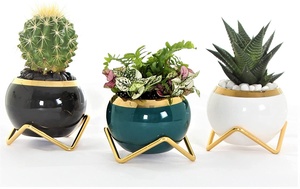 <span class=keywords><strong>Mini</strong></span> <span class=keywords><strong>pot</strong></span> de fleurs en céramique de porcelaine pour plantes succulentes, décoration de jardin intérieur/extérieur, avec support géométrique en métal doré et drainage - Product Image 2