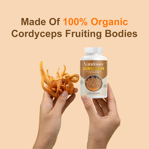 Cápsulas de extracto de Cordyceps Sinensis orgánicas de primera calidad, suplemento de apoyo inmunológico, potenciador de ATP, regeneración <span class=keywords><strong>celular</strong></span>, mujeres embarazadas - Product Image 3