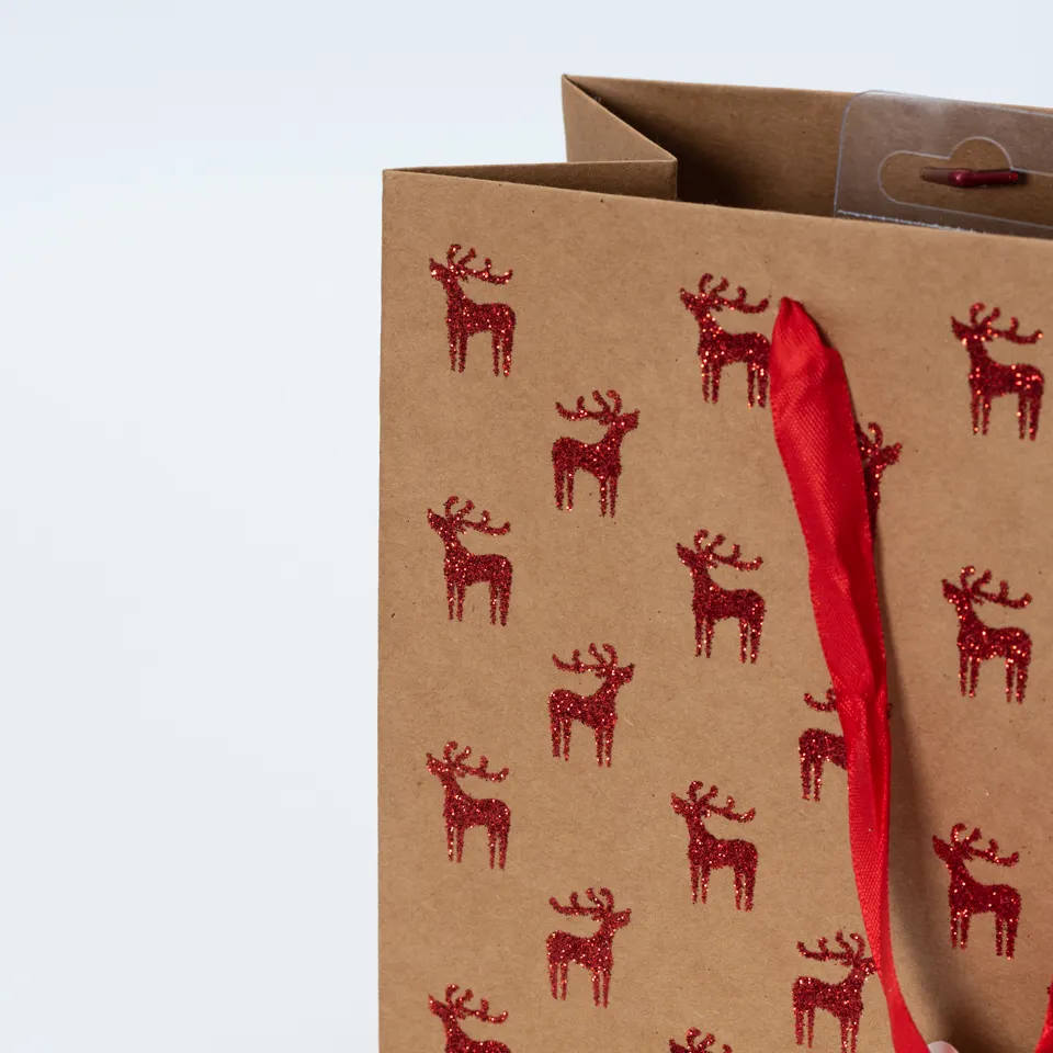 Riciclato nuovo cartone regalo di lusso sacchetti di carta e scatole con manico per la borsa della spesa con il tuo Logo