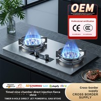 Table de cuisson à gaz encastrable en acier inoxydable à 2 brûleurs, 9 cavités, haute puissance avec fonction minuterie, pour gaz naturel domestique
