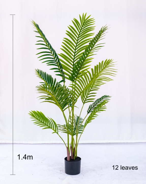 140cm(55.12in)