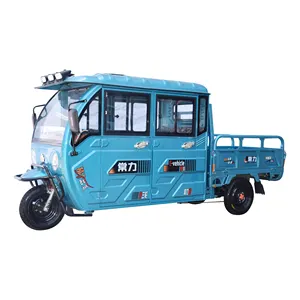 Chang Li Volwassen Gesloten Elektrische Driewieler Passenger En Cargo Elektrische Driewielers