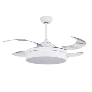 Goedkope Prijs Multi Kleuren Thuis Decoratieve 42 Inch Verborgen Blades Fancy Led Plafond Ventilator Licht