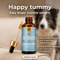 Sirop Probiotique pour Chiens : Soutien Digestif, 7 Souches, Prébiotiques, Absorption des Nutriments, Routine Intestinale Quotidienne, Marque Privée